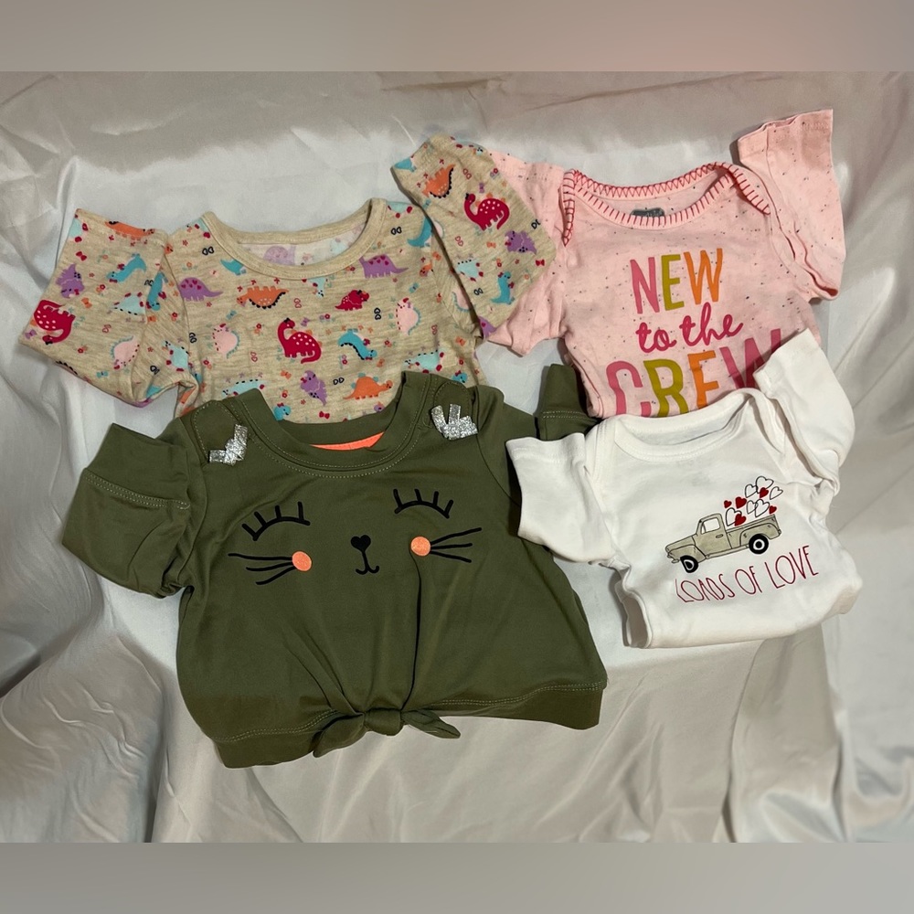 Baby Girl Clothes Bundle (0-3 months)